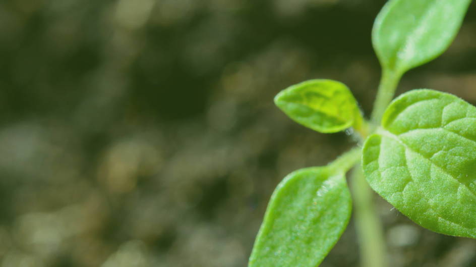 Hero Image for home page